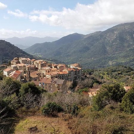 Casa Corsa Villa Santa-Lucia-di-Tallano Buitenkant foto